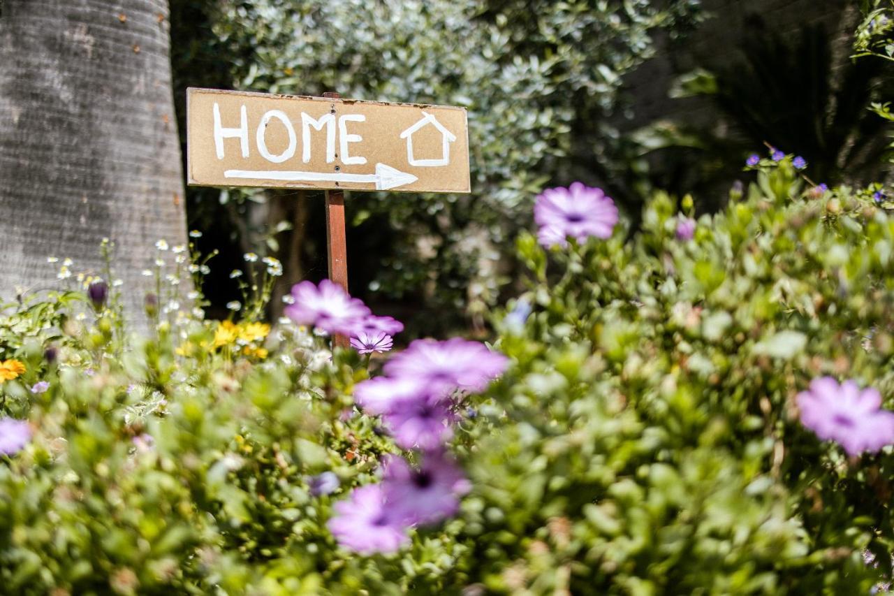 Ascheri Country House - Grimaldi, Ventimiglia Villa Exterior photo